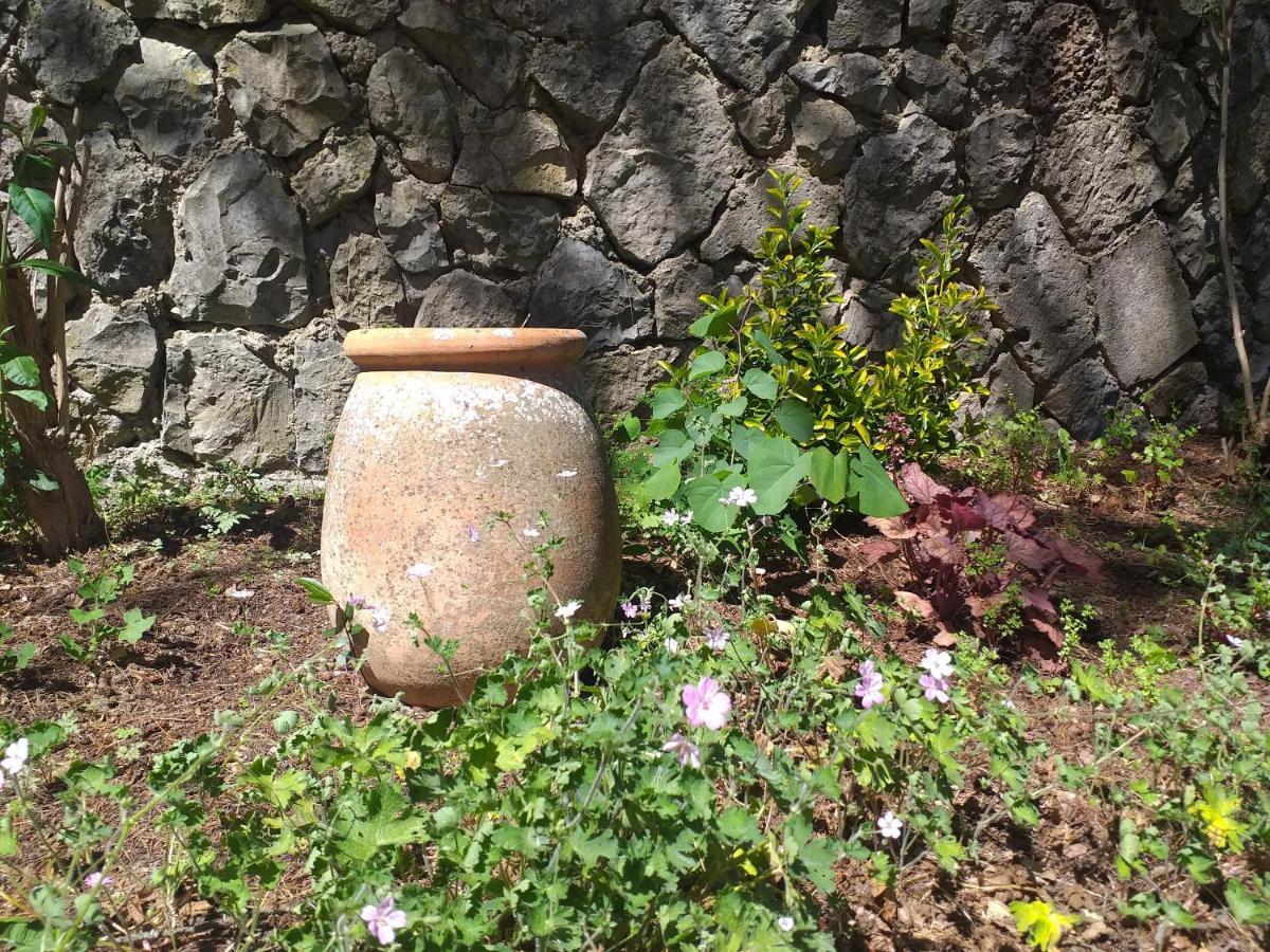 サン・タントナン Le Jardin Secret Bed & Breakfast エクステリア 写真