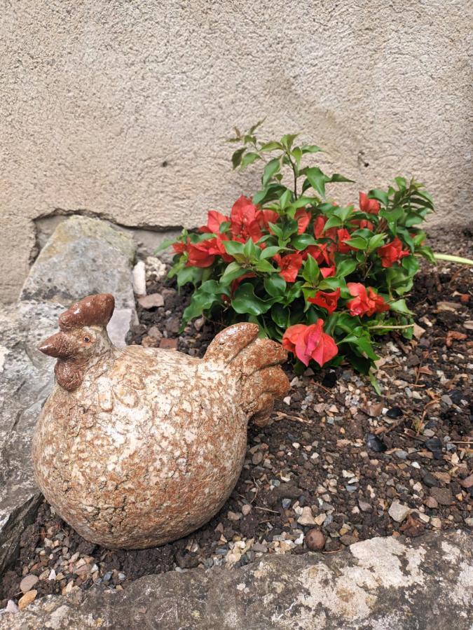 サン・タントナン Le Jardin Secret Bed & Breakfast エクステリア 写真